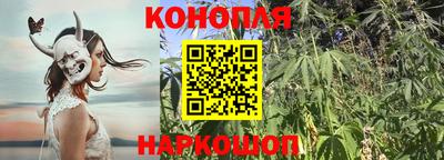 альфа пвп Анжеро-Судженск