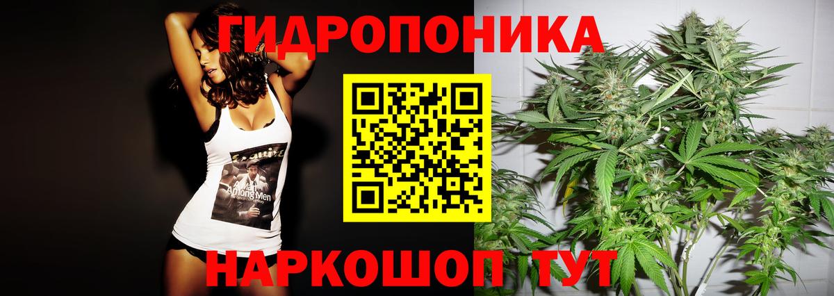 Каннабис планчик  Бошки марихуана гибрид  Аша  Канабис план  Вход с VPN 