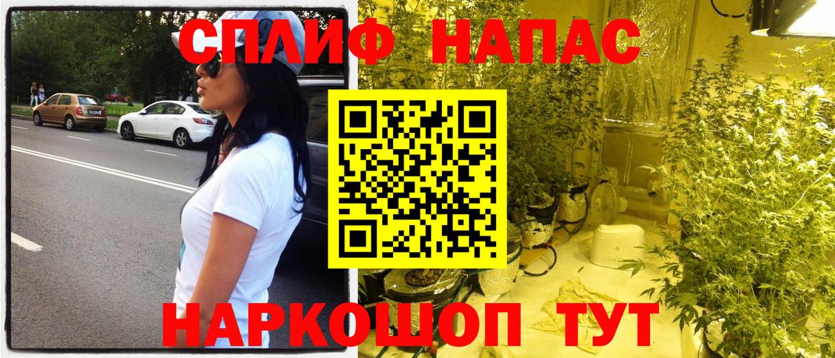 Шишки марихуана сатива Аша